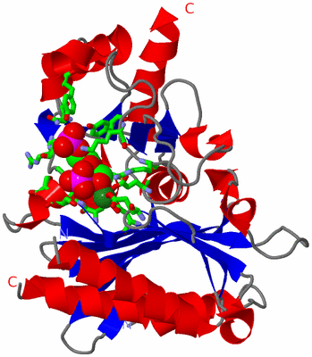 Image Asym. Unit - sites