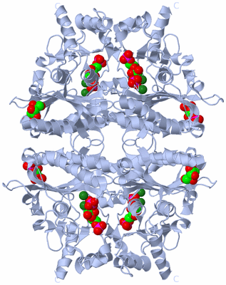 Image Biological Unit 1