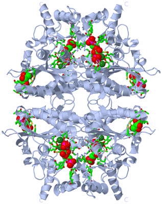 Image Biol. Unit 1 - sites