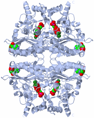 Image Biological Unit 1