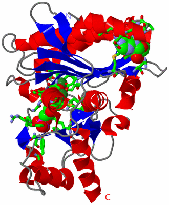 Image Asym. Unit - sites