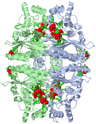 Image Biol. Unit 1 - sites