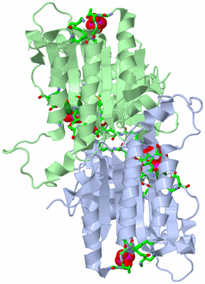 Image Asym. Unit - sites