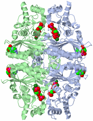 Image Biological Unit 1