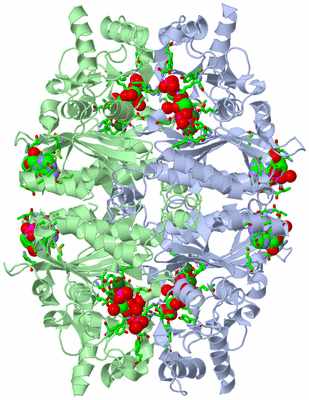 Image Biol. Unit 1 - sites