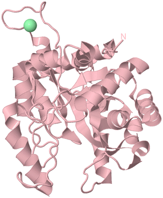 Image Biological Unit 3