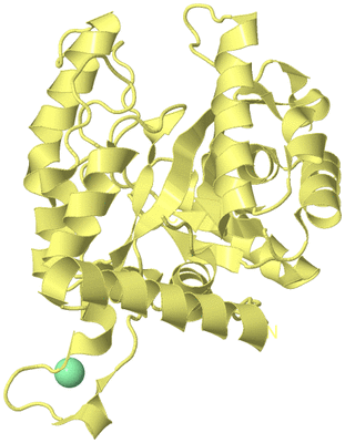 Image Biological Unit 4