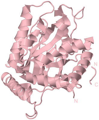 Image Biological Unit 3