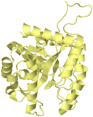 Image Biological Unit 4