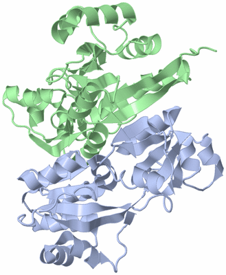 Image Asym./Biol. Unit