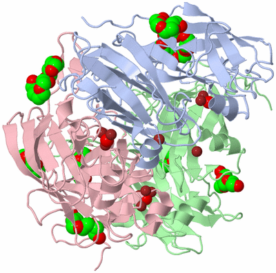 Image Asym./Biol. Unit