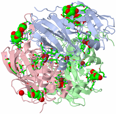 Image Asym./Biol. Unit - sites