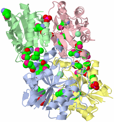 Image Asym./Biol. Unit