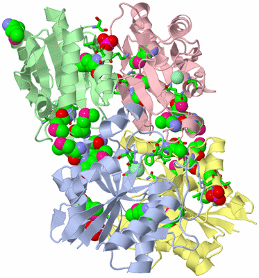 Image Asym./Biol. Unit - sites