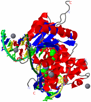 Image Asym./Biol. Unit