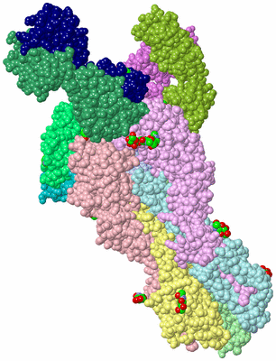 Image Biological Unit 1