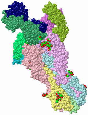 Image Biol. Unit 1 - sites