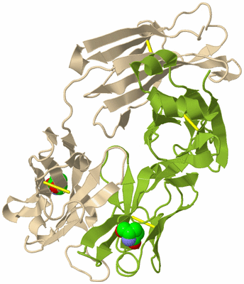 Image Biological Unit 2