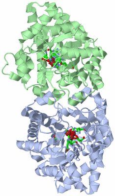 Image Asym./Biol. Unit - sites