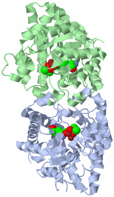 Image Asym./Biol. Unit