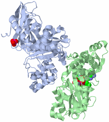 Image Asym./Biol. Unit