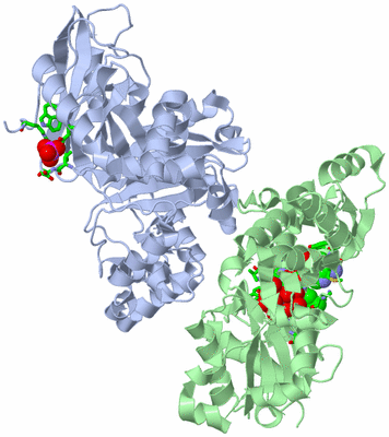 Image Asym./Biol. Unit - sites