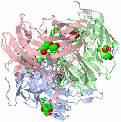 Image Asym./Biol. Unit - sites