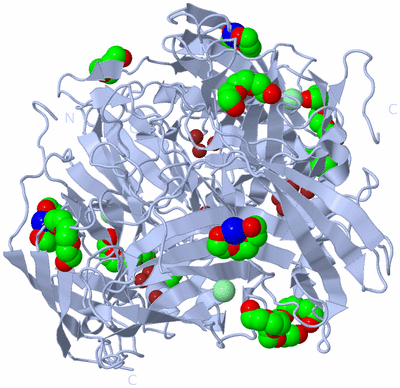 Image Biological Unit 1