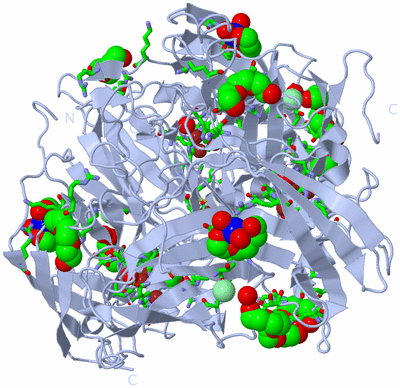 Image Biol. Unit 1 - sites