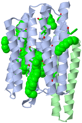 Image Asym. Unit - sites