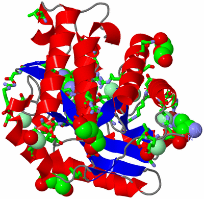 Image Asym./Biol. Unit - sites