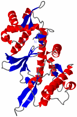 Image Asym./Biol. Unit
