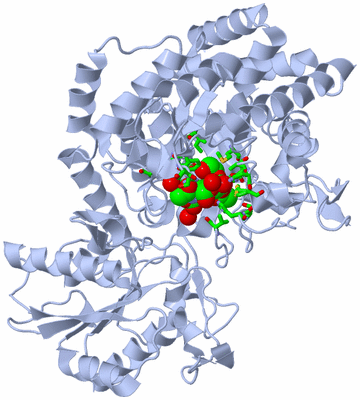 Image Biol. Unit 1 - sites