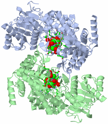 Image Asym. Unit - sites