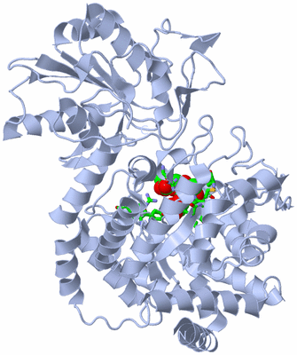 Image Biol. Unit 1 - sites