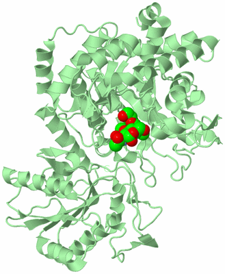 Image Biological Unit 2