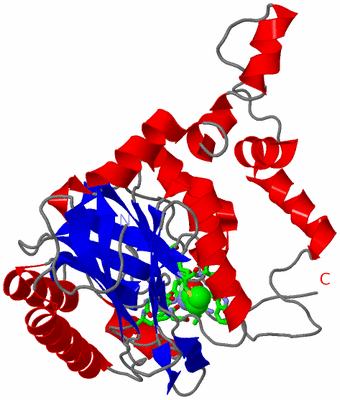 Image Asym. Unit - sites