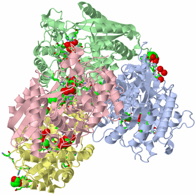 Image Asym./Biol. Unit - sites