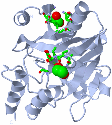 Image Biol. Unit 1 - sites