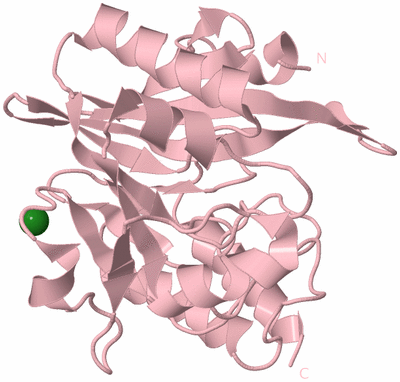 Image Biological Unit 3