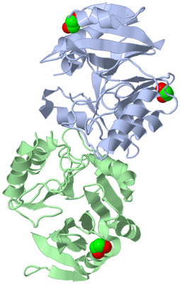 Image Biological Unit 5