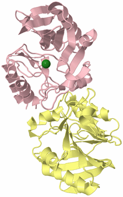 Image Biological Unit 6