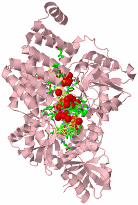 Image Biol. Unit 1 - sites