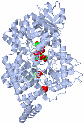 Image Biological Unit 2