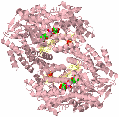 Image Biological Unit 3