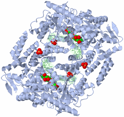 Image Biological Unit 4