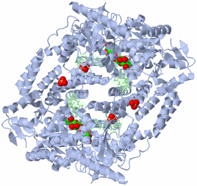 Image Biological Unit 3