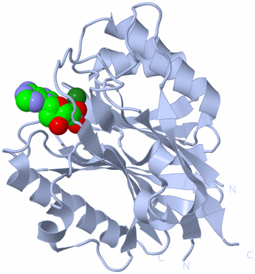 Image Biological Unit 1