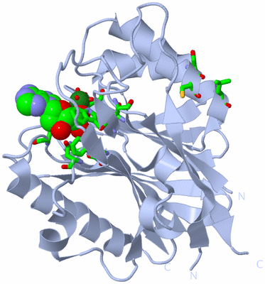 Image Biol. Unit 1 - sites