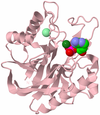 Image Biological Unit 3